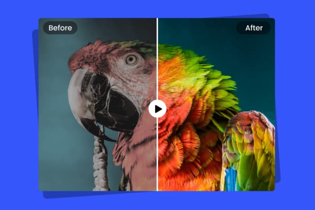 Color Correction Mockup