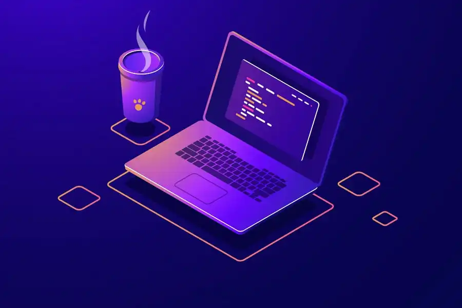 Web Design & Development